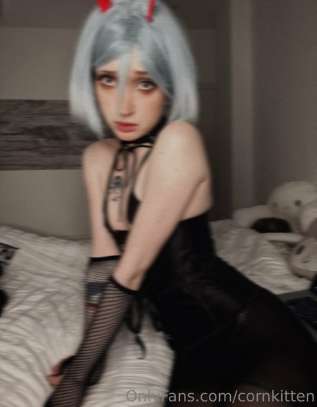 Cornkitten