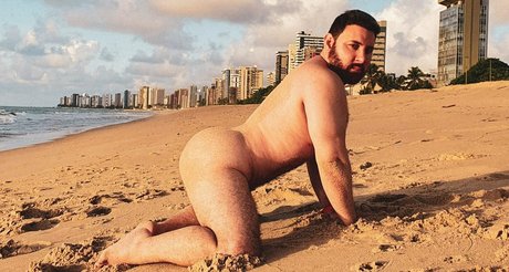 Brazildaddybearfreepage