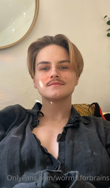 Wormsforbrains