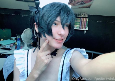 Petitetwink