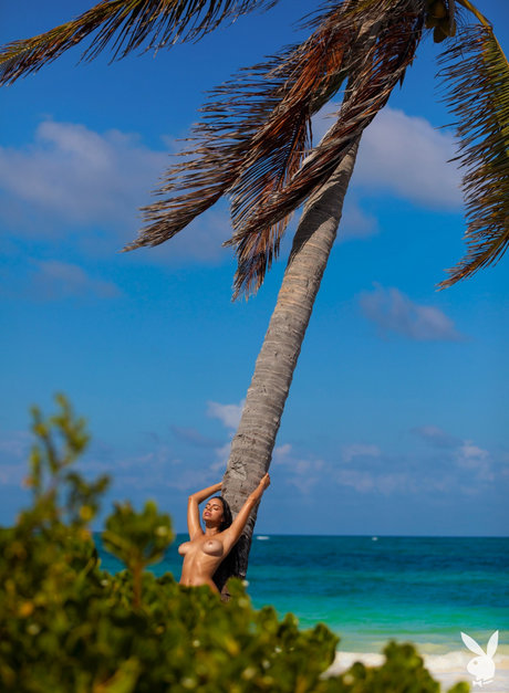 Priscilla Huggins Ortiz