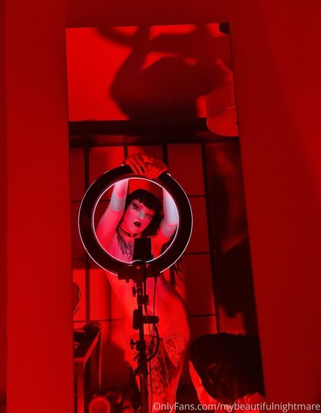 Mybeautifulnightmare