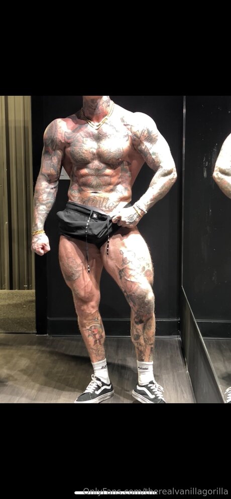 Therealvanillagorilla