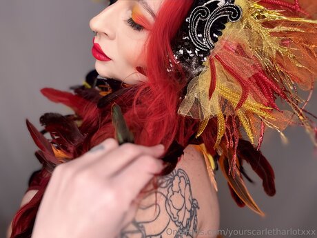 Yourscarletharlotxxx