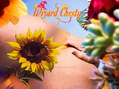 Wizardchesty
