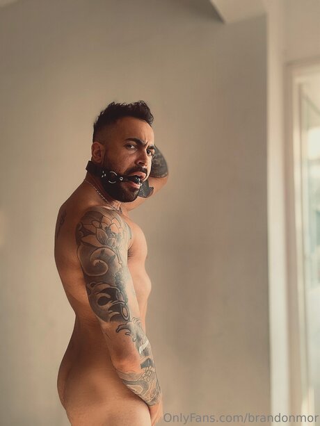 Brandonmor