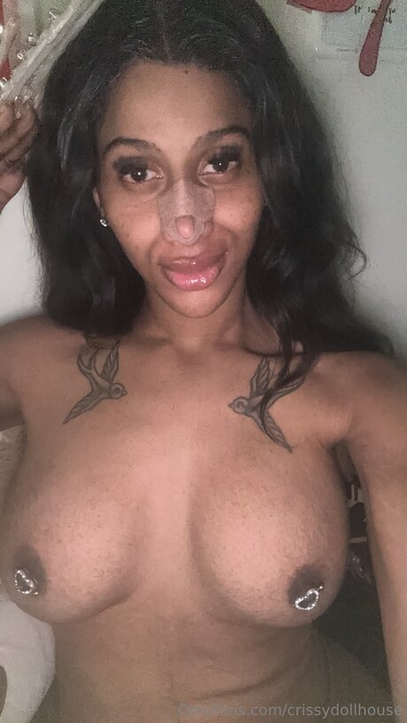 Crissydollhouse
