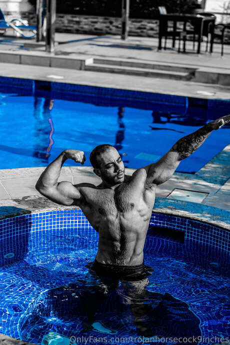 Trojanhorsecock9inches