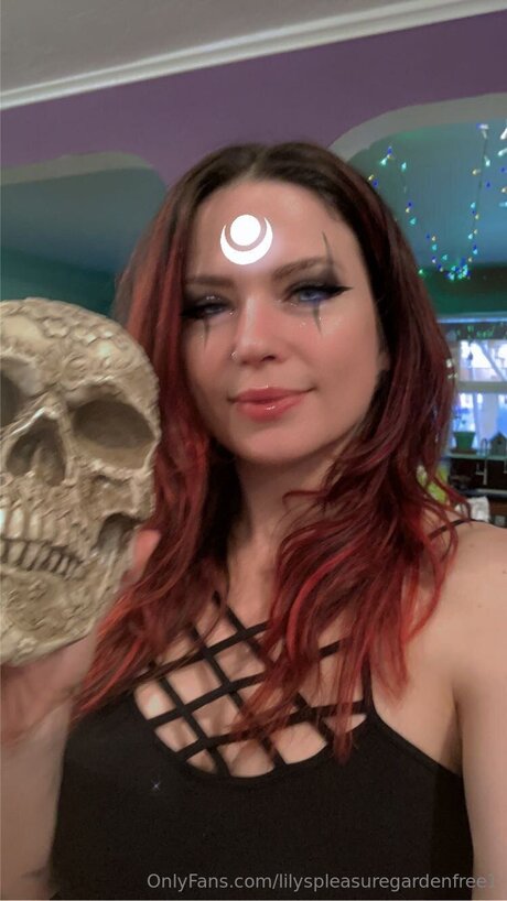 Lilyspleasuregardenfree1