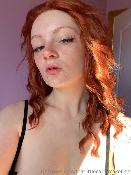 Thatlittlecarrotcakefree