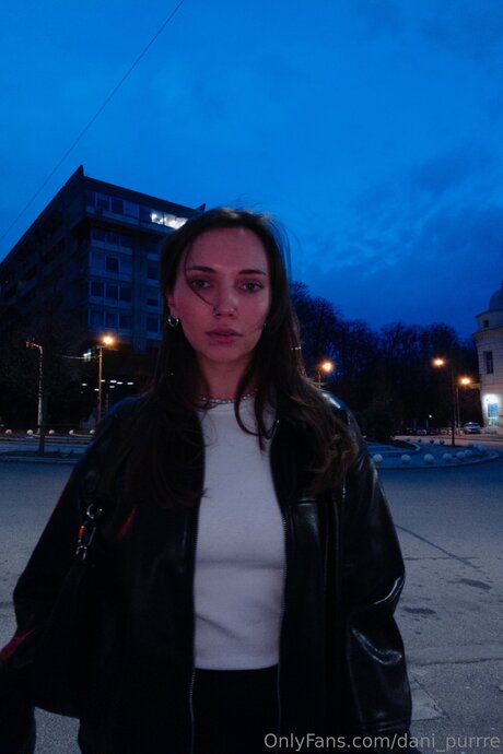 Dani Purrre