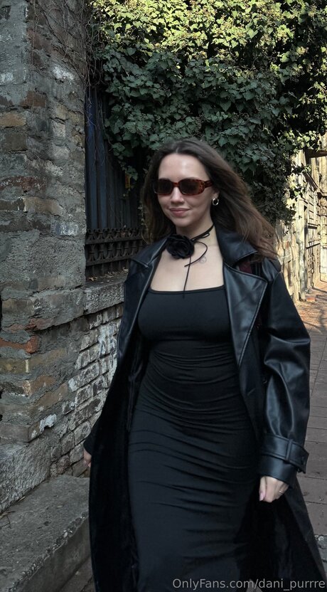 Dani Purrre