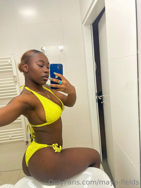 Maya Fields