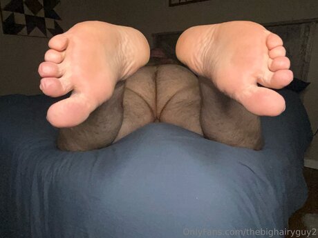 Thebighairyguy2