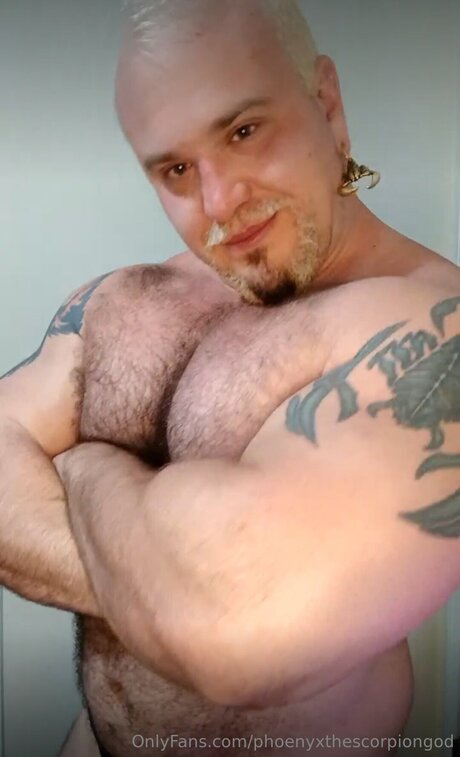 Phoenyxthescorpiongod