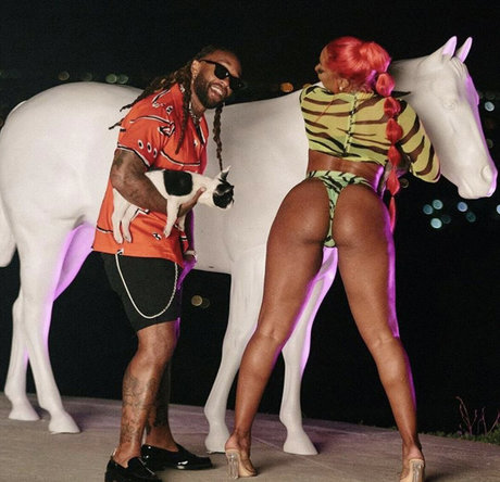 Megan Thee Stallion