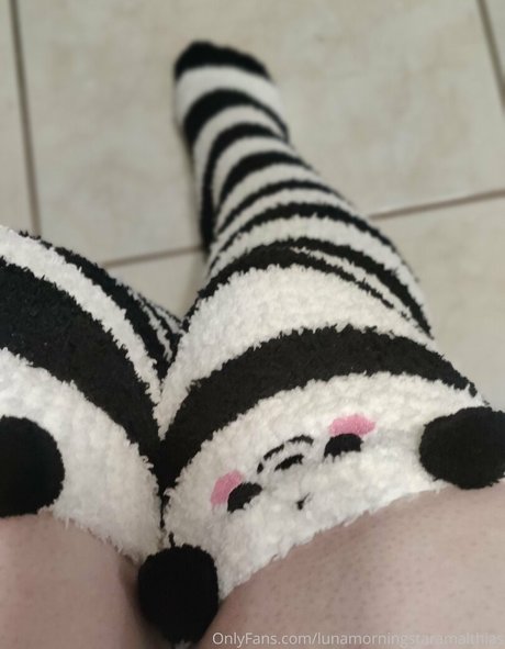 Lunamorningstaramalthias