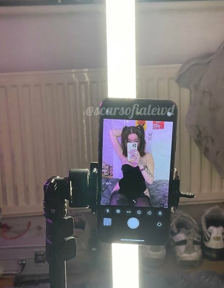 Scarsofialewd