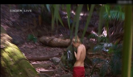 Ich Bin Ein Star  Holt Mich Hier Raus