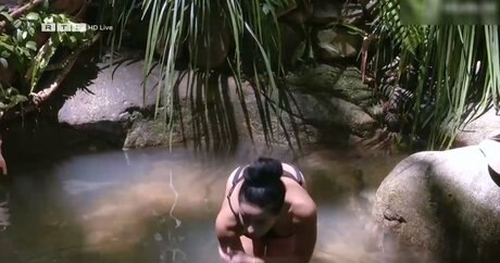 Ich Bin Ein Star  Holt Mich Hier Raus