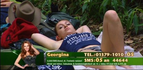 Ich Bin Ein Star  Holt Mich Hier Raus