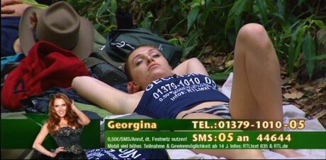 Ich Bin Ein Star  Holt Mich Hier Raus