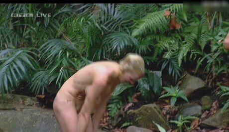 Ich Bin Ein Star  Holt Mich Hier Raus