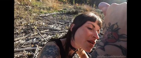 Lenaxfuchs  Lenafuchs