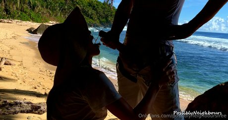 Possiblyneighboursfree