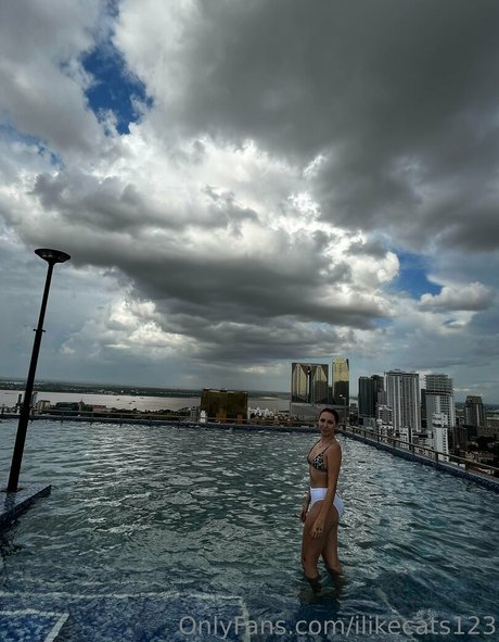 Ilikecats123