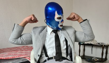 Suited Stallion  Semental En Traje