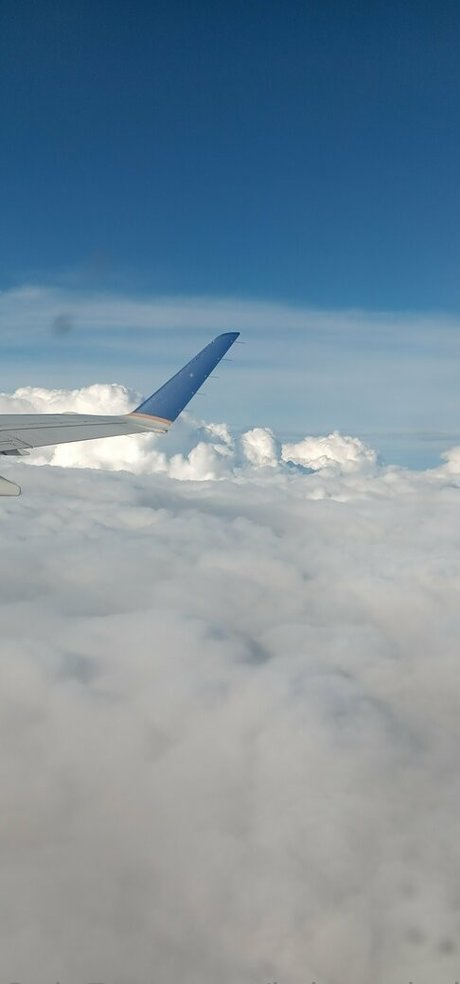 Brittrachelleupdates