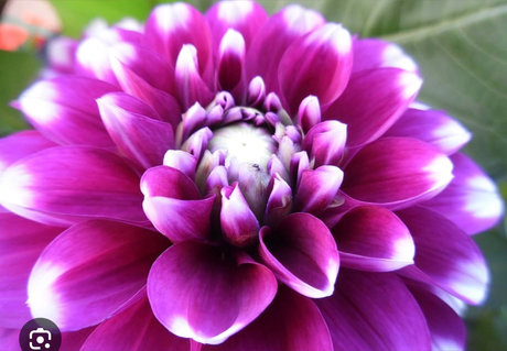 Nacktes geleaktes OnlyFans-Foto von Rihannaxoxo