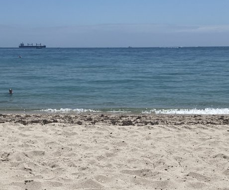 Rock Hardatl Raw Top