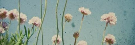 Nacktes geleaktes OnlyFans-Foto von Niki Rae 