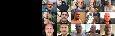 Steve  The Bear Bare