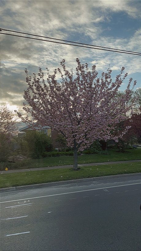 Nacktes geleaktes OnlyFans-Foto von Mbaby