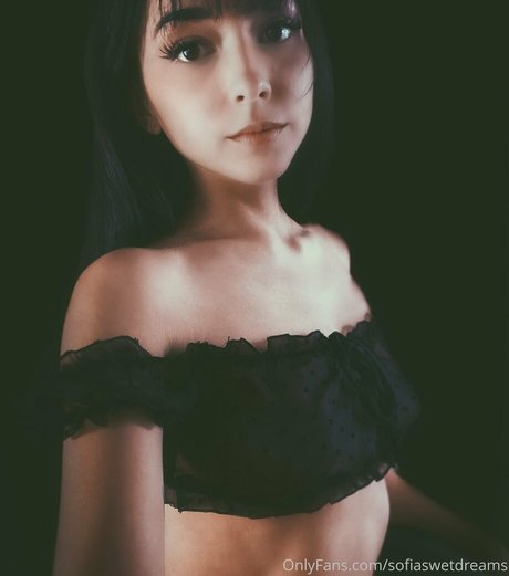 Sofiaswetdreams