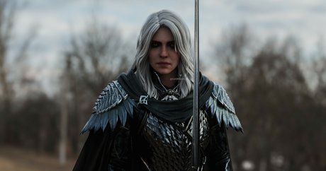 The Witcher