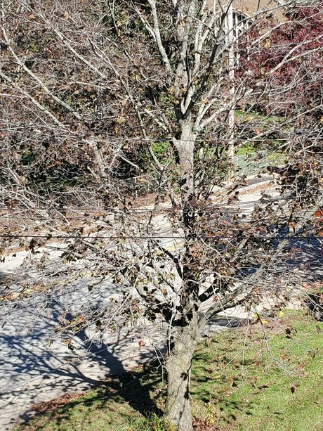 Nacktes geleaktes OnlyFans-Foto von A