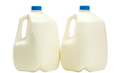 Love Of Jugs