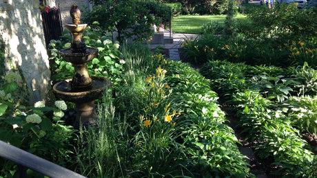 The Real Patriarch Smith