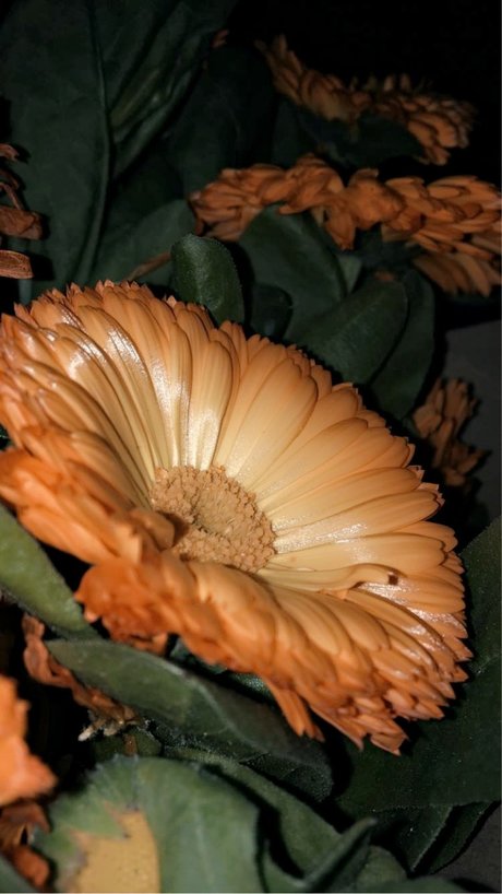 Nacktes geleaktes OnlyFans-Foto von Bb