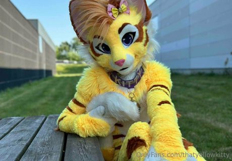 Thatyellowkitty