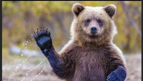 Nacktes geleaktes OnlyFans-Foto von Chubbyguy