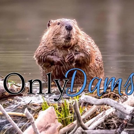 Nacktes geleaktes OnlyFans-Foto von Reggie B