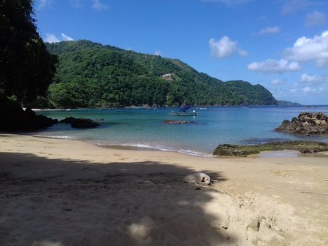 Nacktes geleaktes OnlyFans-Foto von Mpress Avage