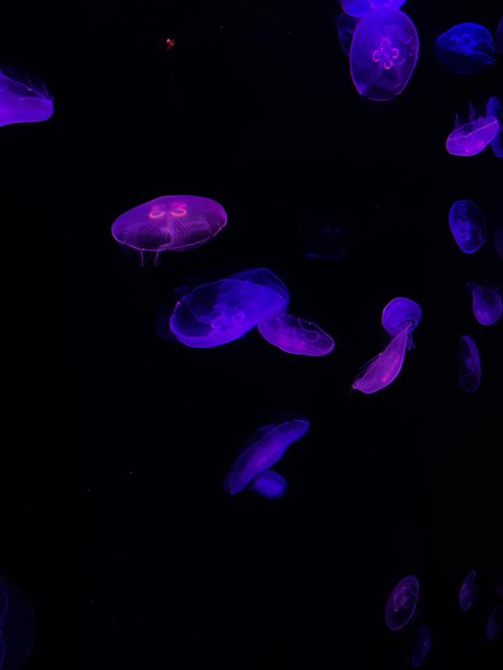 Nacktes geleaktes OnlyFans-Foto von Erica