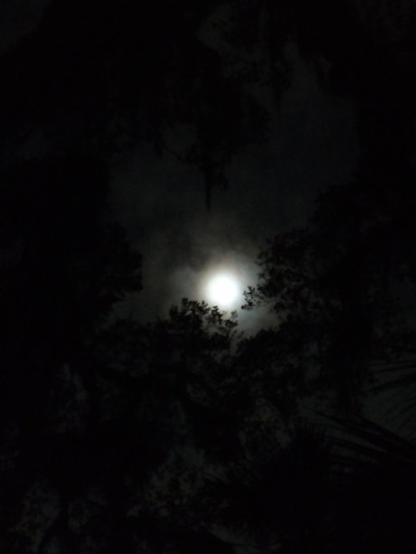 Nacktes geleaktes OnlyFans-Foto von Skolomend