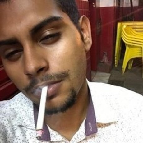 Phoebe Sulmatogrossense